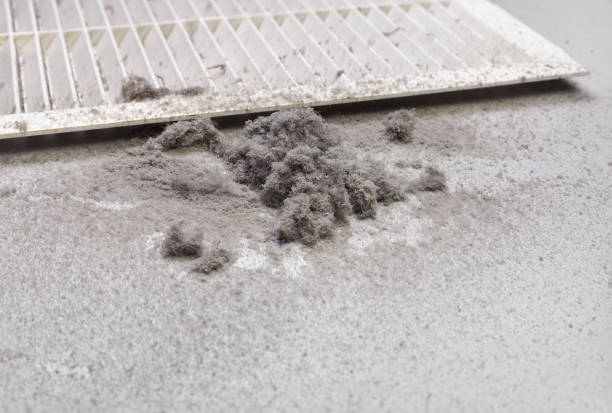 Best Local Air Duct Cleaning Services  in Four Corners, TX